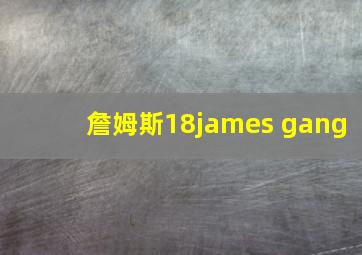 詹姆斯18james gang